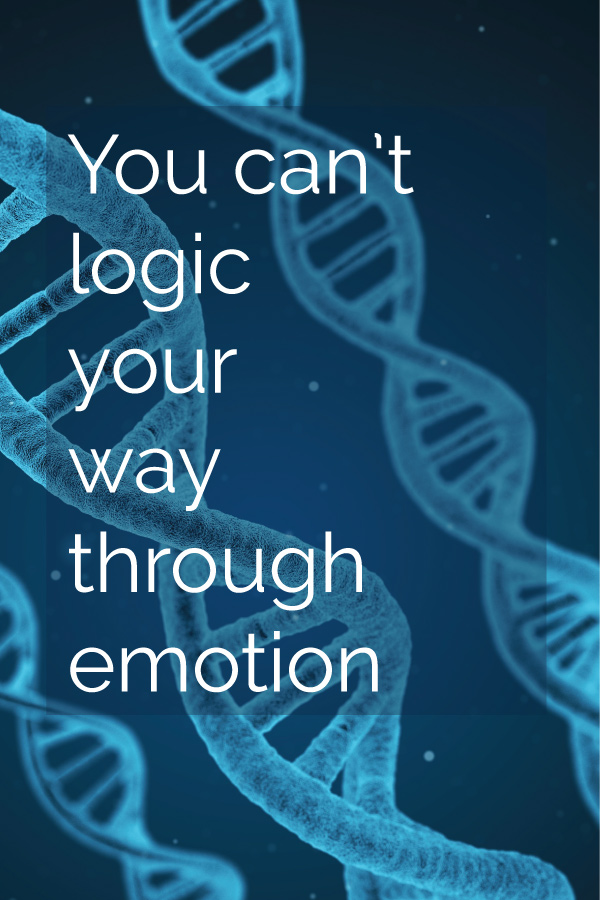 Head2Heart Healing - Daniel Lori Falk - Health & Wellness Coach, you can't logic your way through emotion
