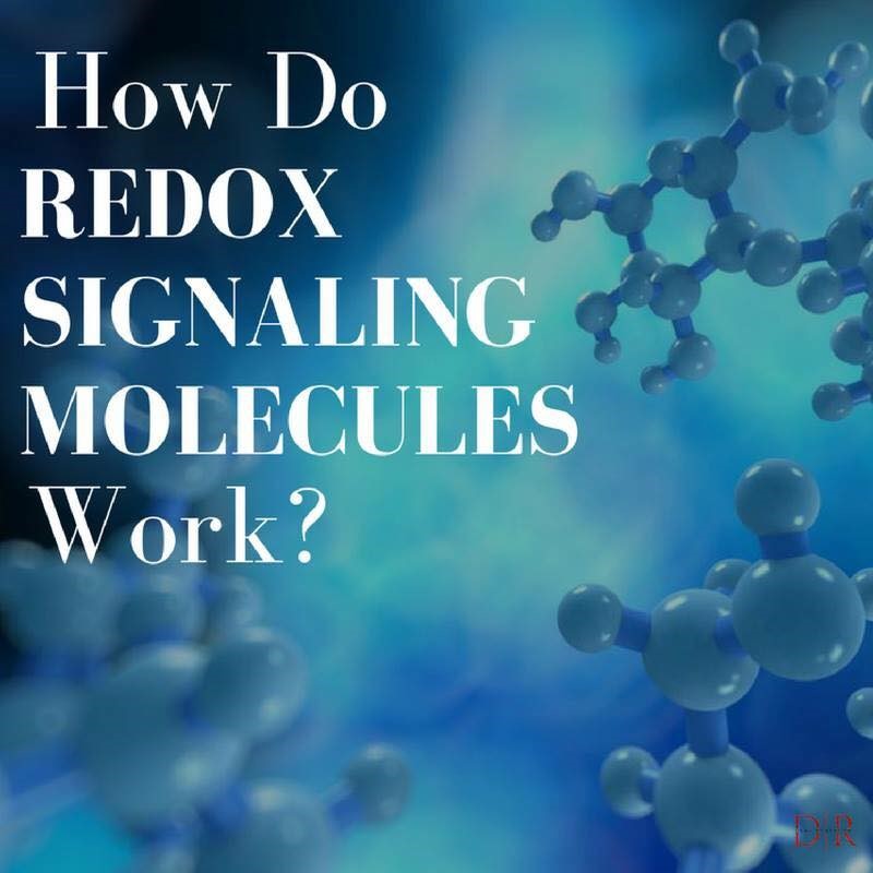 Head2Heart Healing - Daniel Lori Falk - Health & Wellness Coach, how do Redox signaling molecules work?